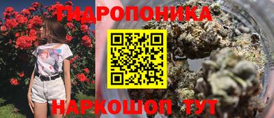 тгк Пугачёв
