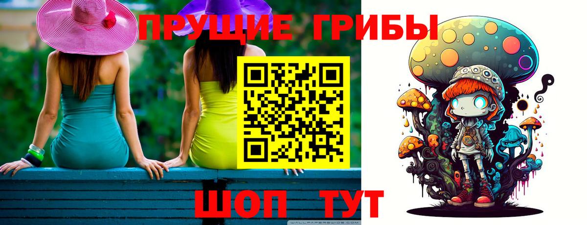 Сосновоборск  Псилоцибиновые грибы Cubensis  Вход с VPN 
